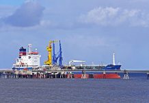 Thai petroleum firm ready to export Rovuma gas