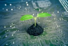 UK-AFRICA SUMMIT: Britain makes a small first step towards green technology