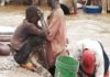 Children’s exploitation rife in Mozambique’s illegal mining havens