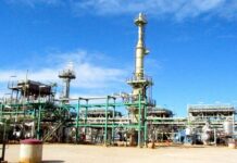 Temane energy project essential to economic transformation underway in Mozambique and southern Africa, says US official