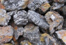 Tirupati Graphite deal has no benefits for indigenous communities and is likely to cause resentment among locals-DHPI