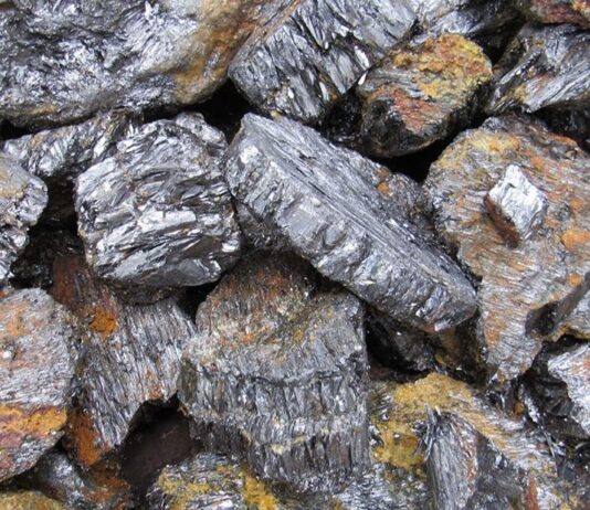 Tirupati Graphite deal has no benefits for indigenous communities and is likely to cause resentment among locals-DHPI