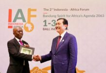 Mozambique Eyes Battery Boom as Indonesian Investors Show Interest