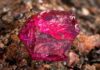 Mozambique’s Ruby Rush: A Gem of a Recovery
