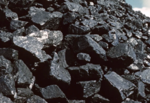 Mozambique’s Gas Boom: Exports Surge, Challenging Coal’s Dominance