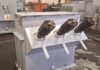 Trafo Power Solutions Expands Footprint in Mozambique with New Mine Contract