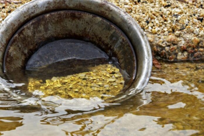Gold Rush Threatens Food Security as Farmland Falls to Artisanal Mining
