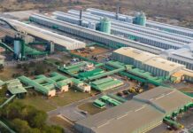 Mozal’s Shutdown Sends Shockwaves Through Mozambique’s Industrial Heartland