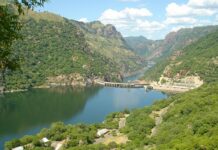 Manica Business Council expresses satisfaction with the government’s halt on mining activities.