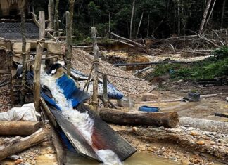 Mozambique Forms Mining Watchdog in Nationwide Crackdown on Illegal Extraction