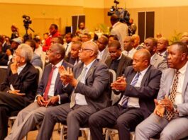 Mozambique Targets Industrial Growth With Energy, Mineral Investment Drive – Update