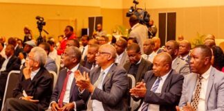 Mozambique Targets Industrial Growth With Energy, Mineral Investment Drive