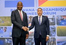 Botswana and Mozambique Turn Historic Ties Towards Minerals and Energy