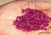 Ruby Boom Defies a Shrinking Field of Producers