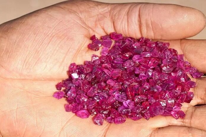 Ruby Boom desafia a redução do número de Produtores